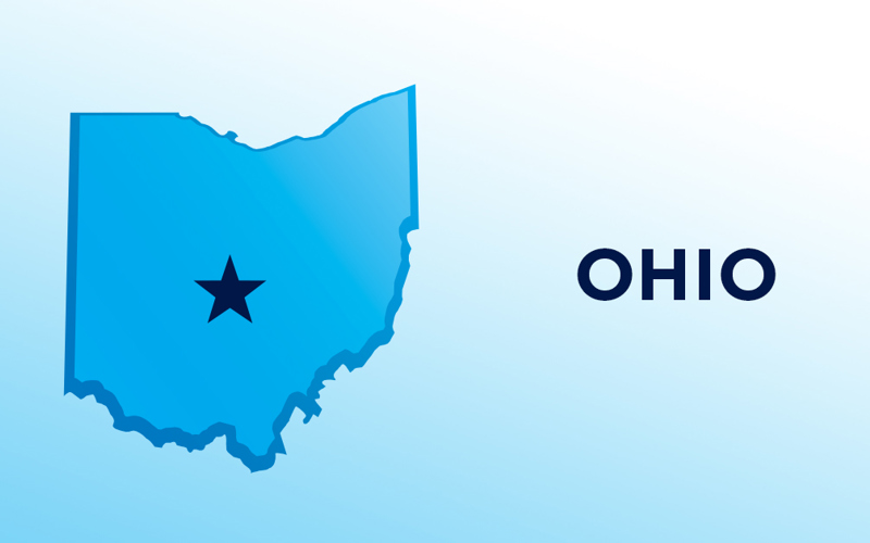 Ohio, You Must Vote 'No' on Issue 1 on November 7