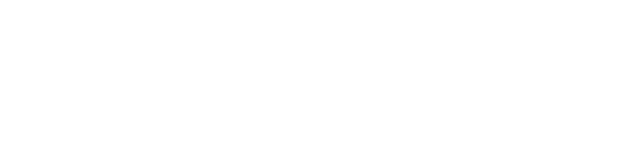 Center for Government Renewal